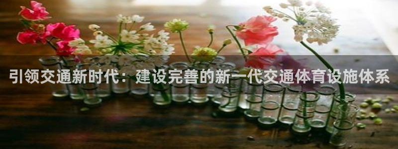 意昂体育4招商：引领交通新时代：建设完善的新一代交通