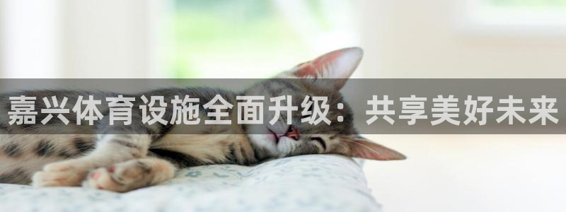 意昂体育4平台假的吗是真的吗吗：嘉兴体育设施全面升级