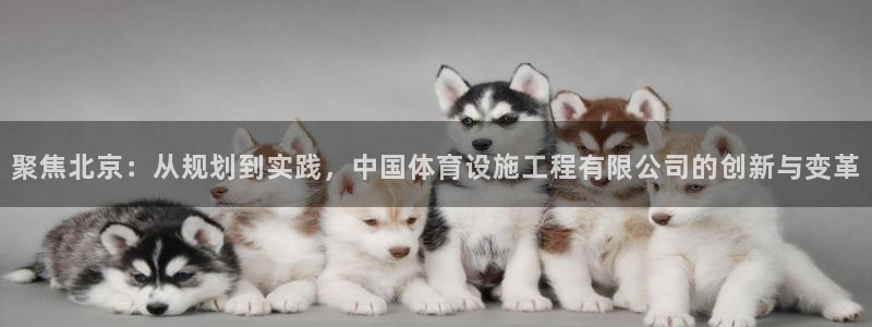 意昂4官方：聚焦北京：从规划到实践，中国体育设施工程有限公司