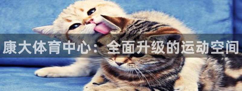 意昂体育4招商电话号码是多少：康大体育中心：全面升级