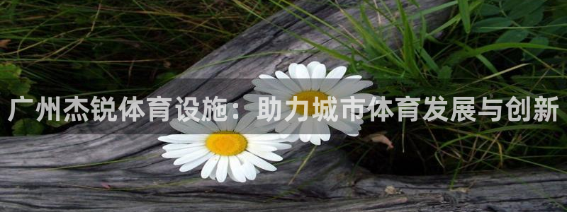 意昂体育4：广州杰锐体育设施：助力城市体育发展与创新