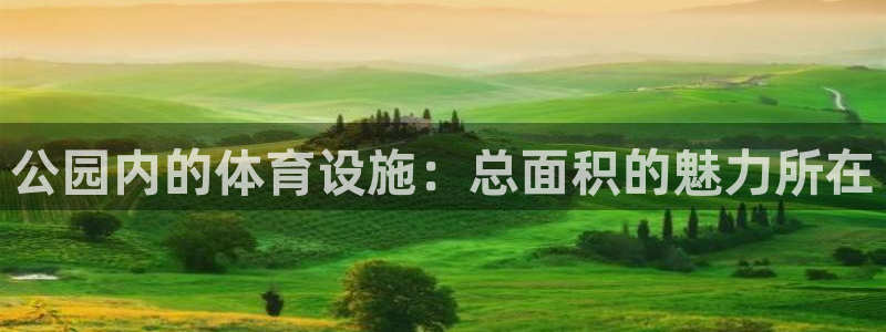 德国意昂4集团：公园内的体育设施：总面积的魅力所在