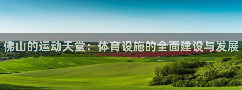 意昂4集团简介：佛山的运动天堂：体育设施的全面建设与