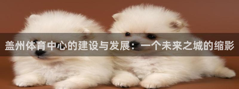 意昂体育4联系电话：盖州体育中心的建设与发展：一个未
