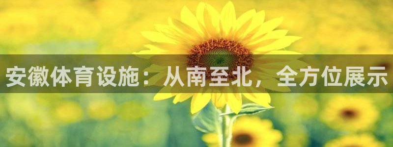 意昂体育4招商电话是多少号码：安徽体育设施：从南至北