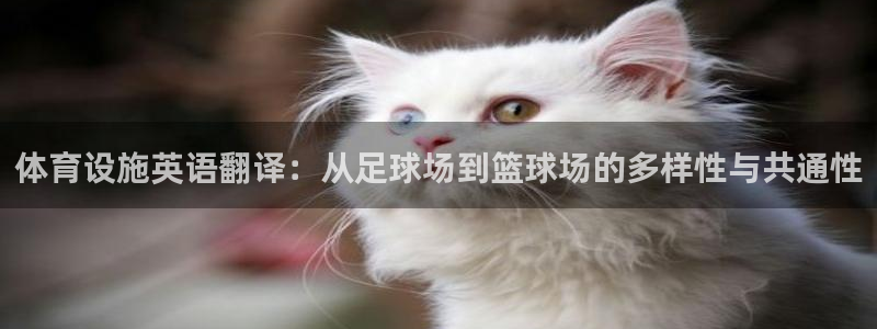 意昂4代理：体育设施英语翻译：从足球场到篮球场的多样