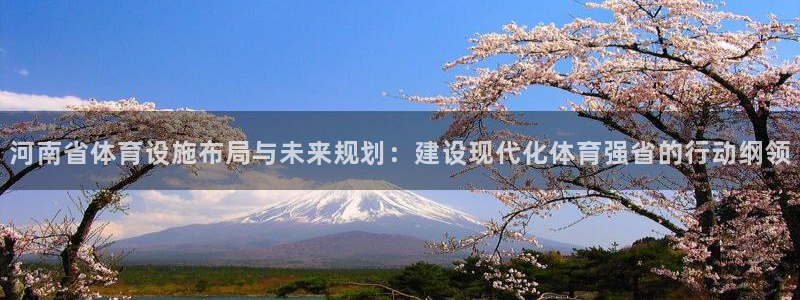 意昂体育4软件：河南省体育设施布局与未来规划：建设现