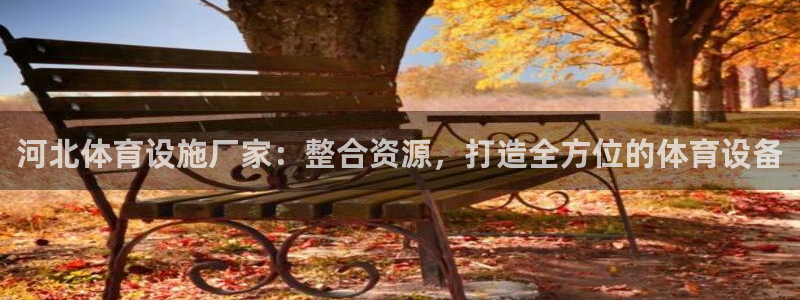 意昂体育4是干嘛的公司：河北体育设施厂家：整合资源，