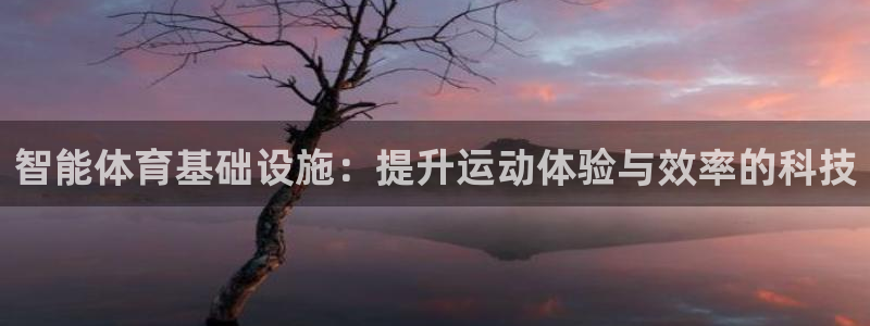 注册意昂4：智能体育基础设施：提升运动体验与效率的科
