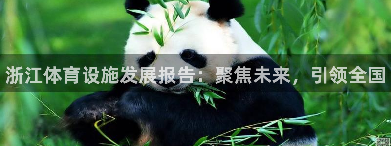 意昂平台体育：浙江体育设施发展报告：聚焦未来，引领全
