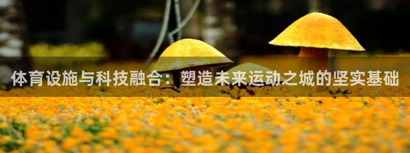 意昂4娱乐平台：体育设施与科技融合：塑造未来运动之城的坚实基