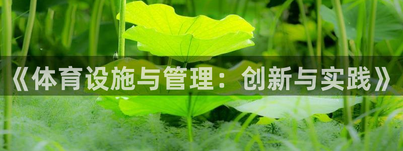 意昂平台体育：《体育设施与管理：创新与实践》