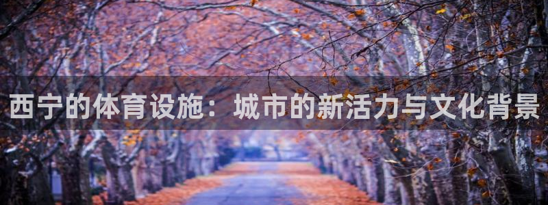 海南意昂体育4：西宁的体育设施：城市的新活力与文化背景