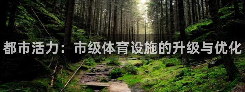 意昂体育4：都市活力：市级体育设施的升级与优化