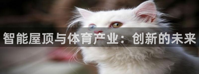 意昂体育4招商电话号码查询是多少