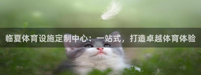 意昂平台体育：临夏体育设施定制中心：一站式，打造卓越