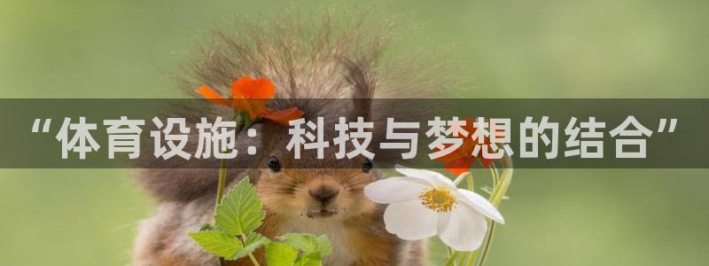 意昂体育4招商电话地址：“体育设施：科技与梦想的结合