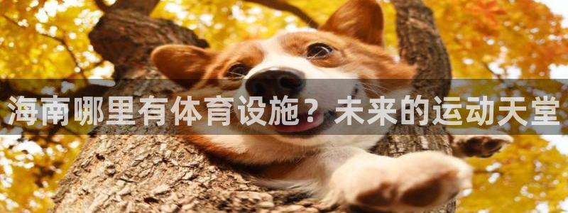 意昂体育4平台注册流程视频：海南哪里有体育设施？未来的运动天