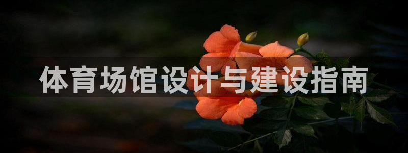 意昂4科技：体育场馆设计与建设指南