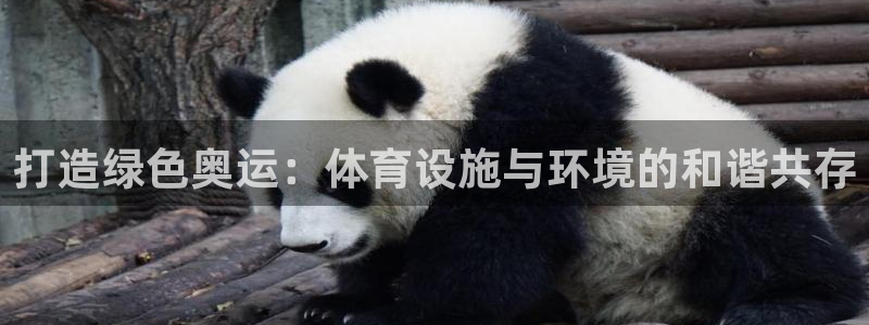 意昂4娱乐首页网站大全：打造绿色奥运：体育设施与环境的和谐共