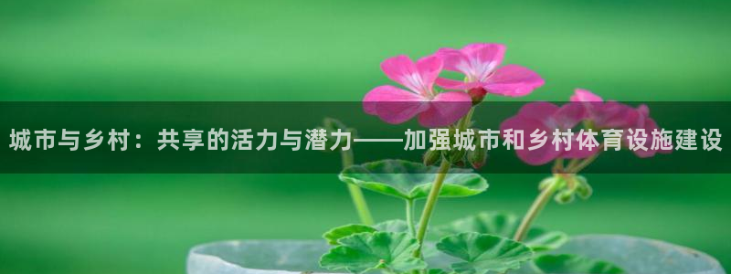 意昂体育4平台注册要钱吗安全吗：城市与乡村：共享的活力与潜力