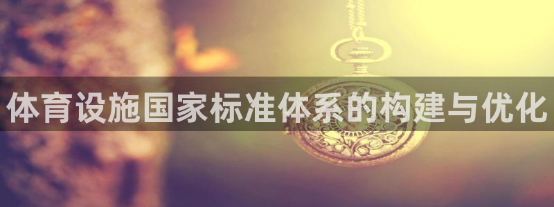 意昂体育4是干嘛的公司：体育设施国家标准体系的构建与优化