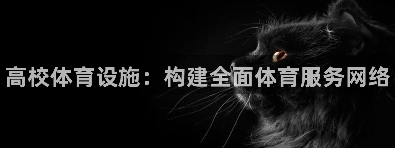 意昂体育4招商电话号码是多少啊：高校体育设施：构建全面体育服