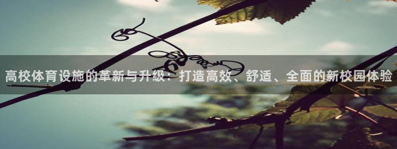 意昂4娱乐代理怎么样：高校体育设施的革新与升级：打造