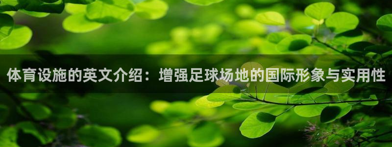 德国意昂4集团：体育设施的英文介绍：增强足球场地的国