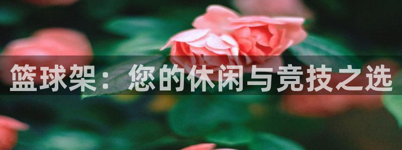 意昂体育4注册：篮球架：您的休闲与竞技之选