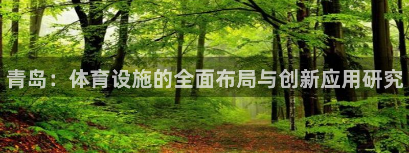 意昂体育4软件：青岛：体育设施的全面布局与创新应用研