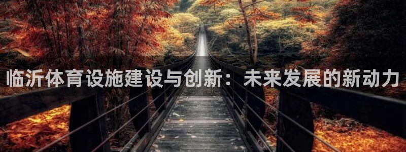 意昂4官方：临沂体育设施建设与创新：未来发展的新动力