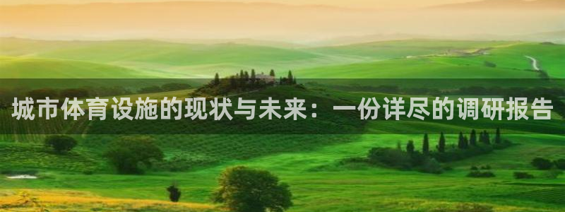 意昂4娱乐代理怎么样：城市体育设施的现状与未来：一份详尽的调
