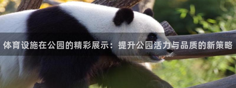 注册意昂4：体育设施在公园的精彩展示：提升公园活力与