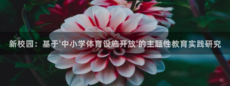 注册意昂4：新校园：基于\'中小学体育设施开放\'的