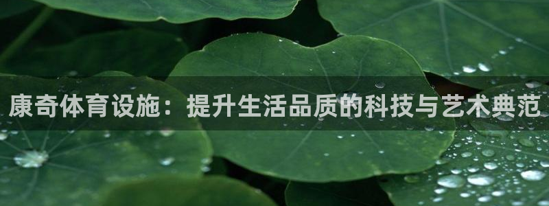意昂体育4招商：康奇体育设施：提升生活品质的科技与艺