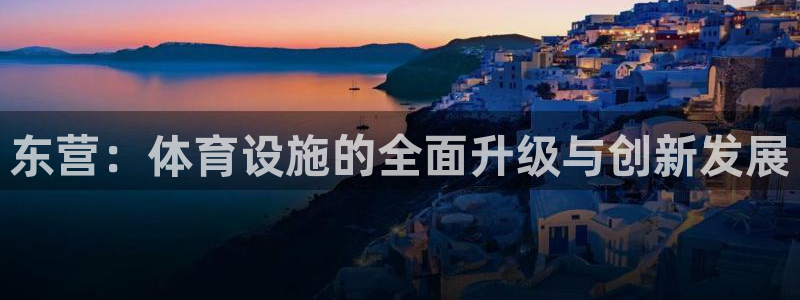 意昂体育4招商：东营：体育设施的全面升级与创新发展