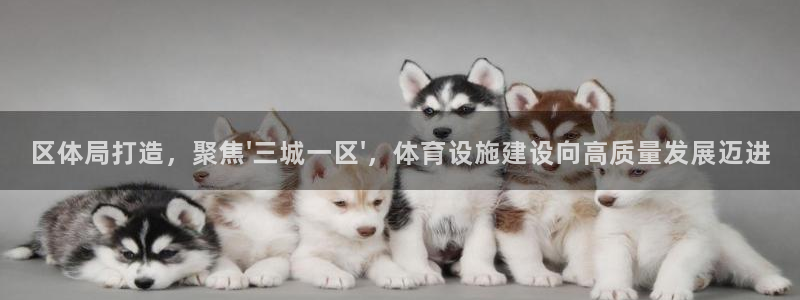 意昂体育4招商电话号码查询：区体局打造，聚焦\'三城