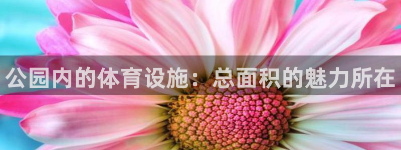 意昂4娱乐代理怎么样：公园内的体育设施：总面积的魅力