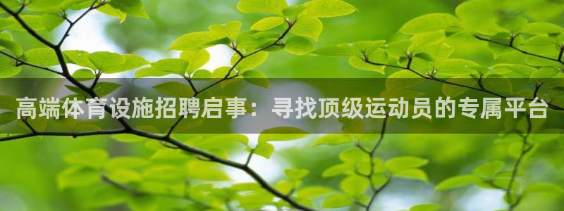 意昂体育4注册：高端体育设施招聘启事：寻找顶级运动员