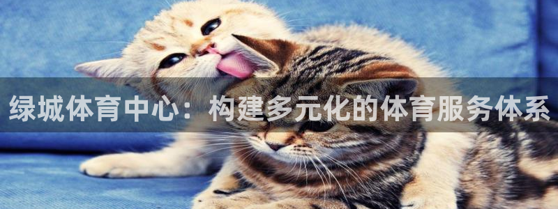 意昂体育4招商电话是多少啊：绿城体育中心：构建多元化的体育服