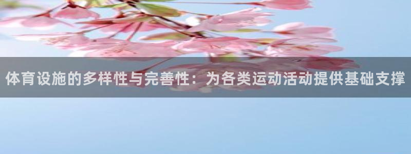 意昂体育4平台是正规平台吗安全吗：体育设施的多样性与完善性：