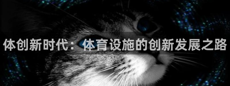 意昂平台体育：体创新时代：体育设施的创新发展之路