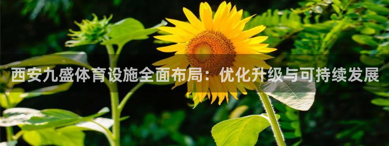 意昂4娱乐40996：西安九盛体育设施全面布局：优化升级与可