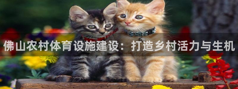 意昂4娱乐40996：佛山农村体育设施建设：打造乡村活力与生 